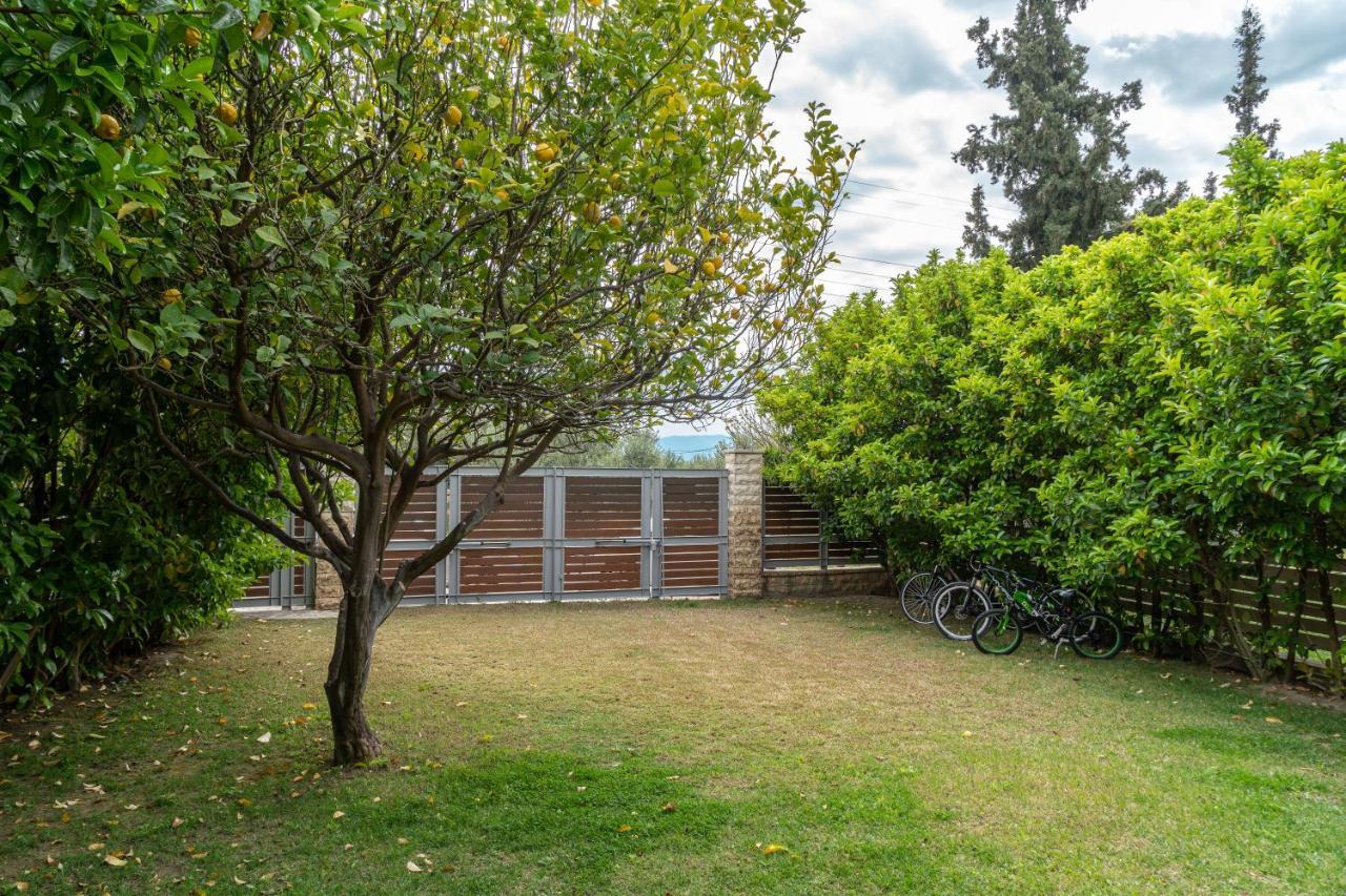 Sun Villa Glyfada Glifáda Fokídasz Kültér fotó